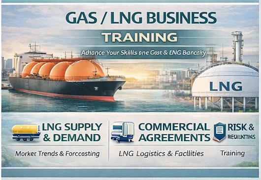 Gas Sales Contractual Agreement, Negotiation & Risk Mitigation